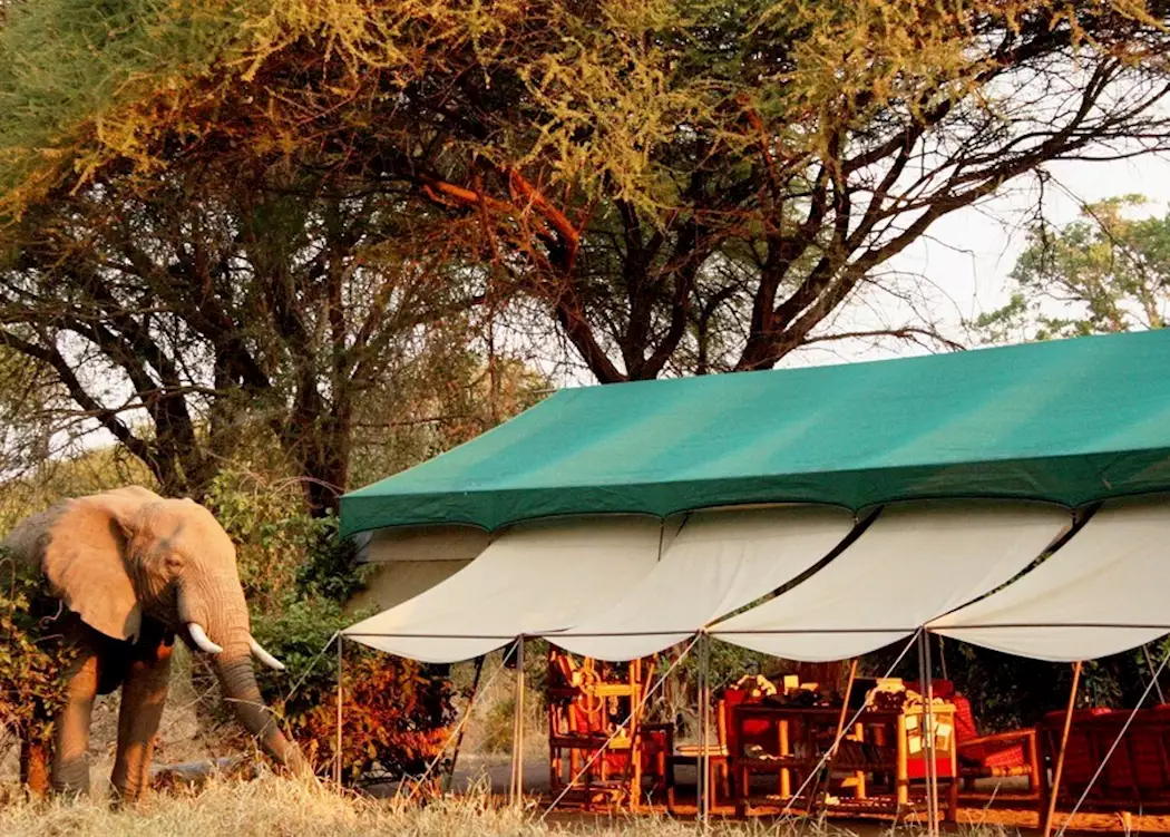 Mdonya Old River Tented Camp