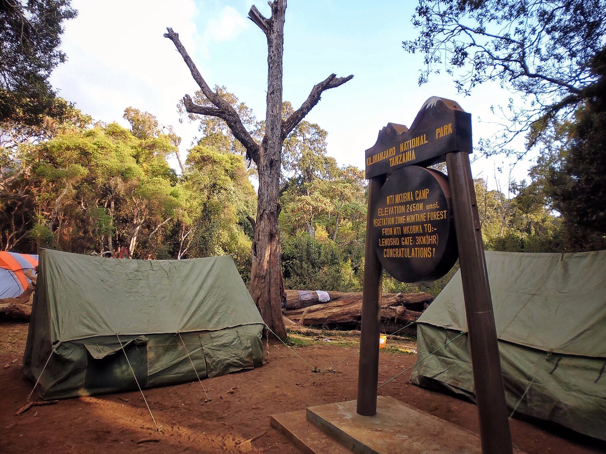 Londorossi Gate to Mti Mkubwa (Big Tree) Camp