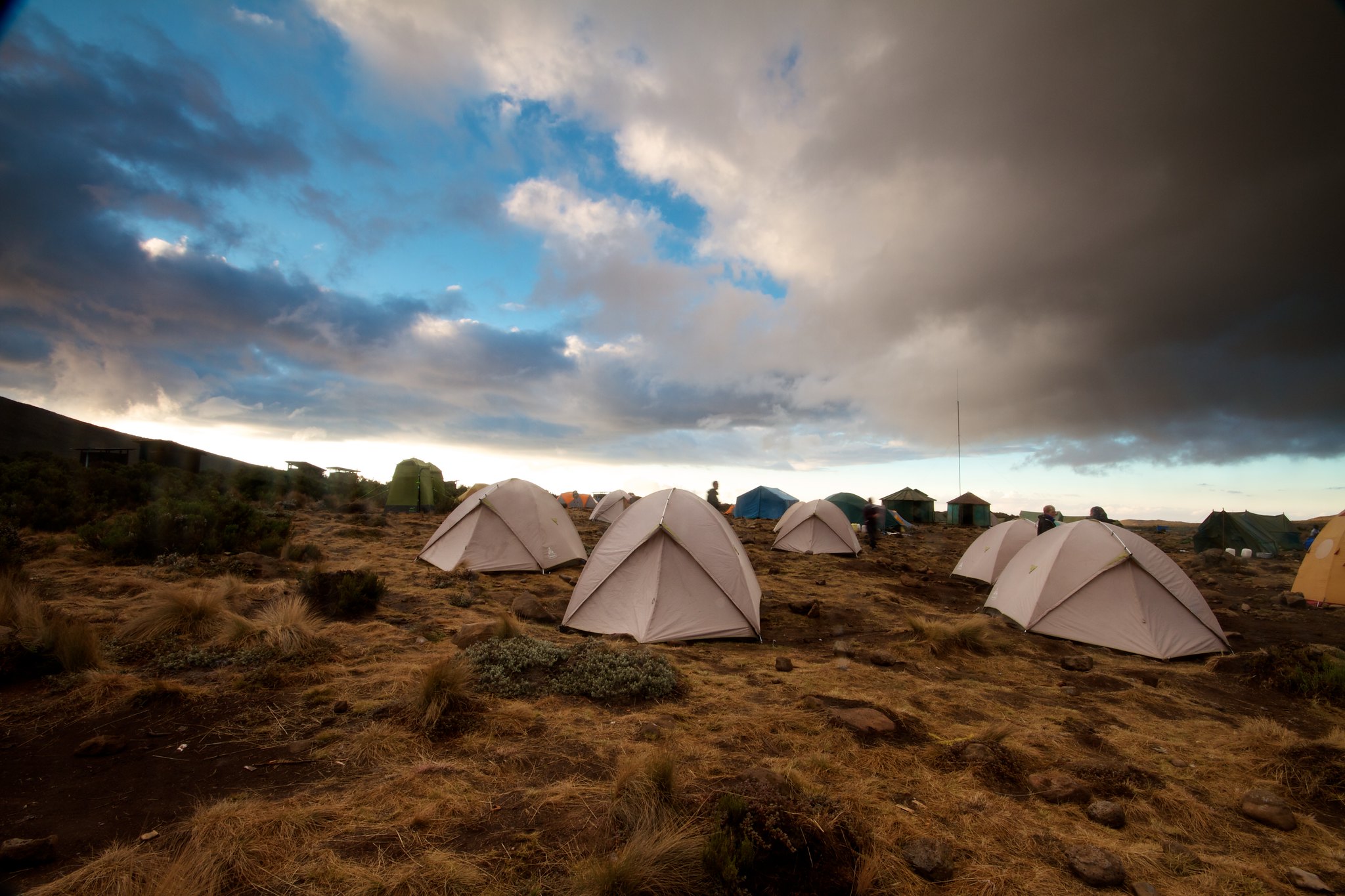 Mti Mkubwa to Shira 1 Camp